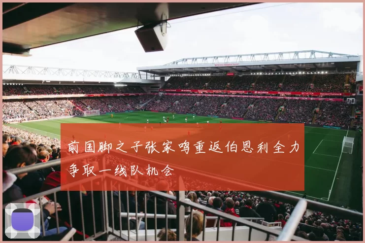前国脚之子张家鸣重返伯恩利全力争取一线队机会